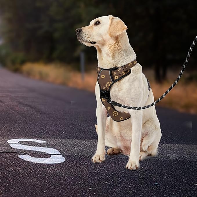 IVY&LANE No Pull Dog Harness with Leash Set, Reflective No Choke Pet Vest,Adjustable Oxford Dog Vest Harness with Easy Control Handle for Medium Dogs (Dark Brown,M)