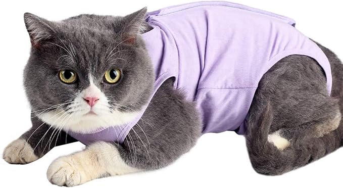 Cat Surgery Recovery Suit Cat Onesie for Cats After Surgery Spay Surgical Abdominal Wound Skin Diseases E-Collar Alternative Wear (Purple-L)
