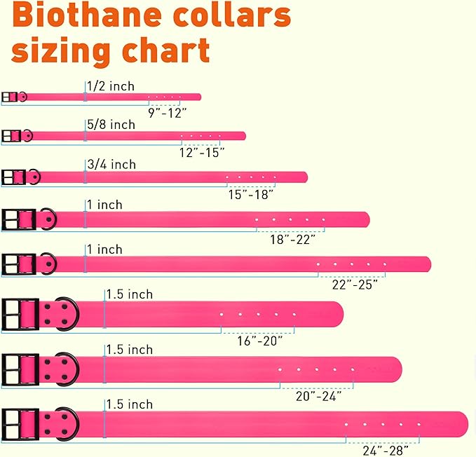 Dogline Biothane Waterproof Dog Collar Strong Coated Nylon Webbing with Black Hardware Odor- Proof for Easy Care Easy to Clean High Performance Fits Small Medium or Large Dogs, Passionfruit Pink