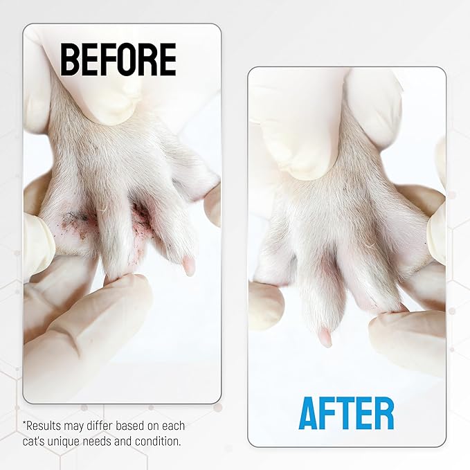Cat Wound Care Spray with Silver – Wounds, Rashes, Hot Spots, Itch, Scratching, Irritation, Bites & Burns – Use a Cat Cone to Prevent Licking – Safe Formula – 4 Oz