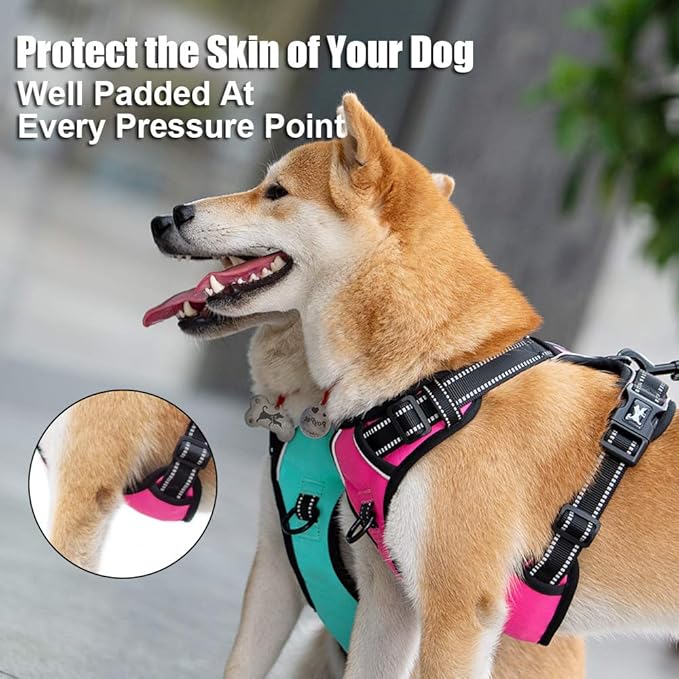 PoyPet No Pull Dog Harness, Reflective Comfortable Vest Harness with Front & Back 2 Leash Attachments and Easy Control Handle Adjustable Soft Padded Pet Vest for Small to Large Dogs (Mint Blue,XL)