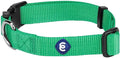 Blueberry Pet Essentials X-Small Dog Collar in Emerald | Adjustable & Eco-Friendly Durable Nylon Strap | Classic Collar for X-Small Dogs, Boy & Girl Pets