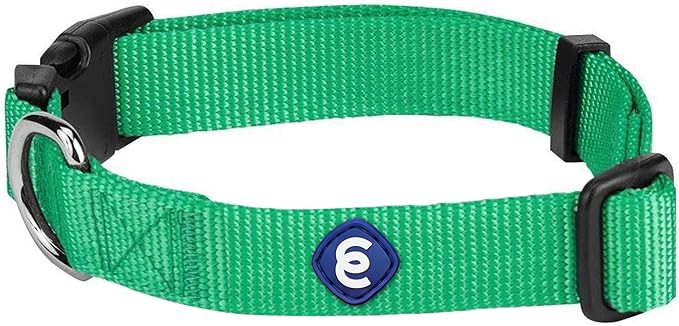 Blueberry Pet Essentials X-Small Dog Collar in Emerald | Adjustable & Eco-Friendly Durable Nylon Strap | Classic Collar for X-Small Dogs, Boy & Girl Pets