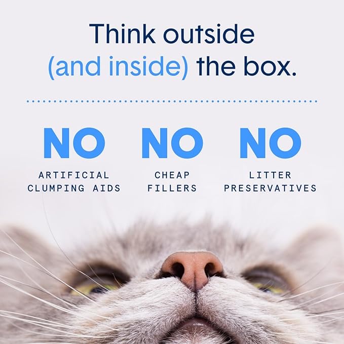 Boxie® Probiotic 40 Day Natural Odor Control Cat Litter, 16lb Clumping Clay Kitty Litter (Pack of 2)