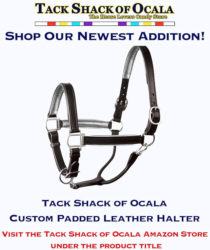 Leather Halter for Horses with Customized Engraved Name Plate Option Halter for Horse | Brown/Brass, Padded Halter (Blue or Green) Black/Brass, Black/Chrome Options