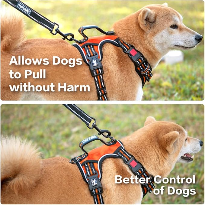 PoyPet No Pull Dog Harness, No Choke Front Clip Reflective Dog Vest with Soft Padded Vertical Handle, 3 Leash Attachments for Small Medium Large Dogs (Orange,L)