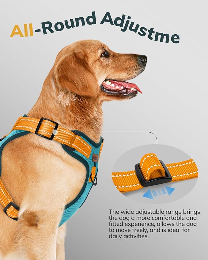 MIDOG No-Pull Dog Harness | Adjustable & Reflective Pet Harness Leash Set for Small Medium Large Dogs Walking, Training| No Choke, Front Clip, Soft Padded Vest with Easy Control Handle - Blue, XL