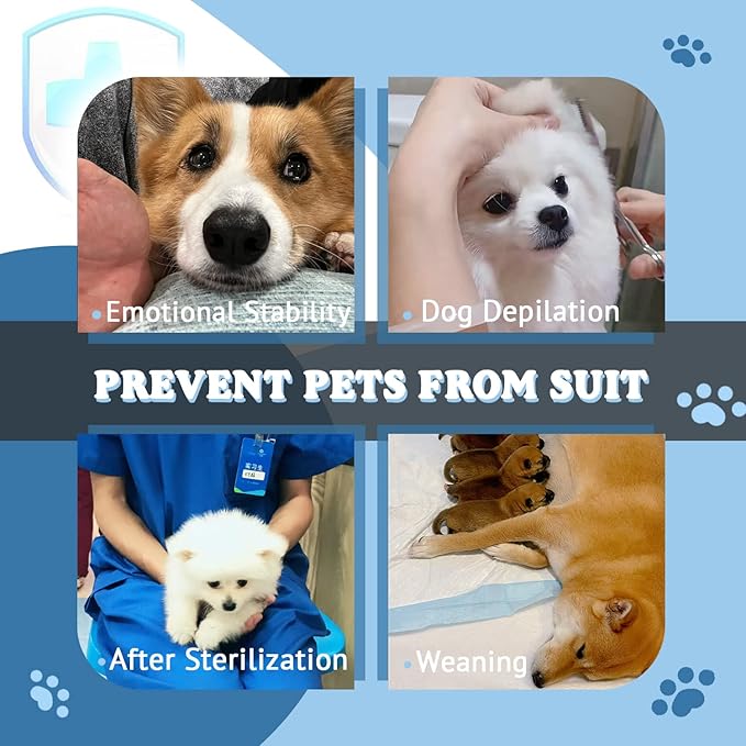 Breathable Dog Surgery Recovery Suit for Male/Female, Professional Dog Recovery Onesie with Zipper After Spay Abdominal Wounds, Anti Licking Cone E-Collar Alternative for Small Medium Large Dog