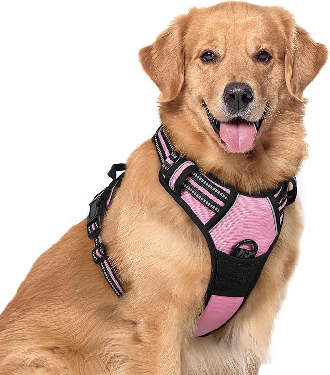 rabbitgoo Dog Harness No Pull with 2 Leash Clips, Adjustable Soft Padded, Reflective Oxford No Choke Pet Vest with Easy Control Handle for Large Dogs, Pink, XL