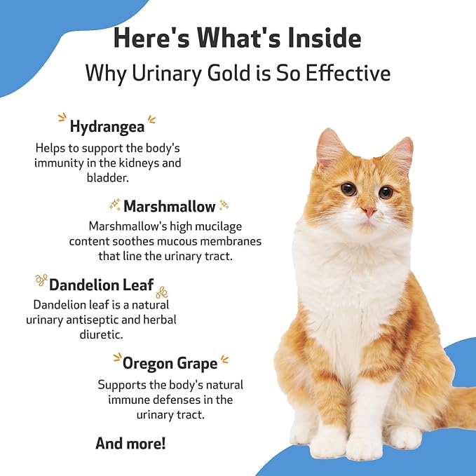 Pet Wellbeing Urinary Gold for Cats - Supports Urinary Tract Health, Normal Frequency, Healthy Immune Response, Stoneroot, Hydrangea - Veterinarian-Formulated Herbal Supplement 2 oz (59 ml)