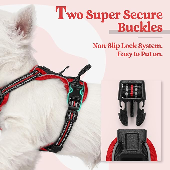 rabbitgoo Dog Harness No Pull with 2 Leash Clips, Adjustable Soft Padded, Reflective Oxford No Choke Pet Vest with Easy Control Handle for Puppy, Black & Red, XS