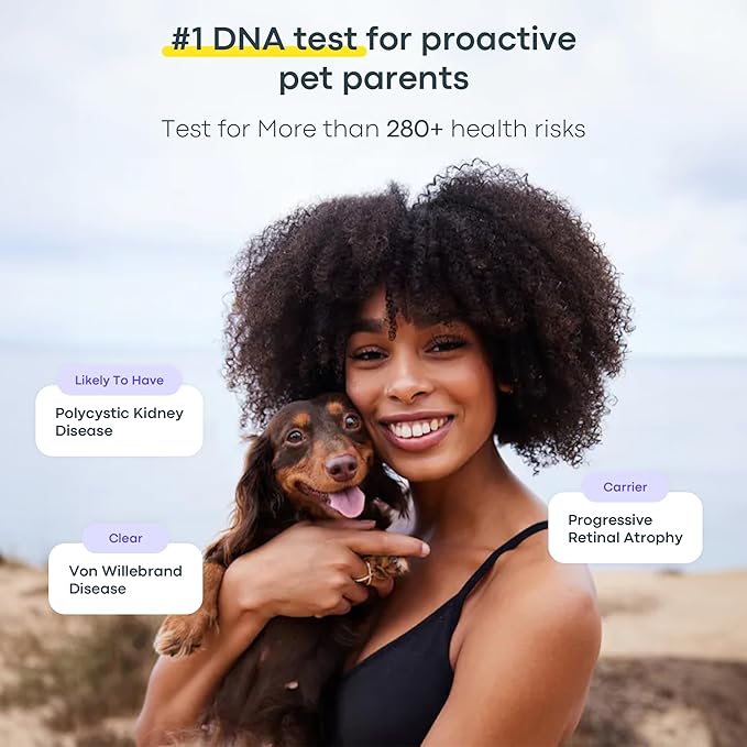 Basepaws Dog DNA Testing Kit - 300+ Breeds, 280+ Health Risks, and 30+ Traits - Comprehensive Mixed Breed Identification, Pet DNA Test kit, Canine Genetic Ancestry and Heritage