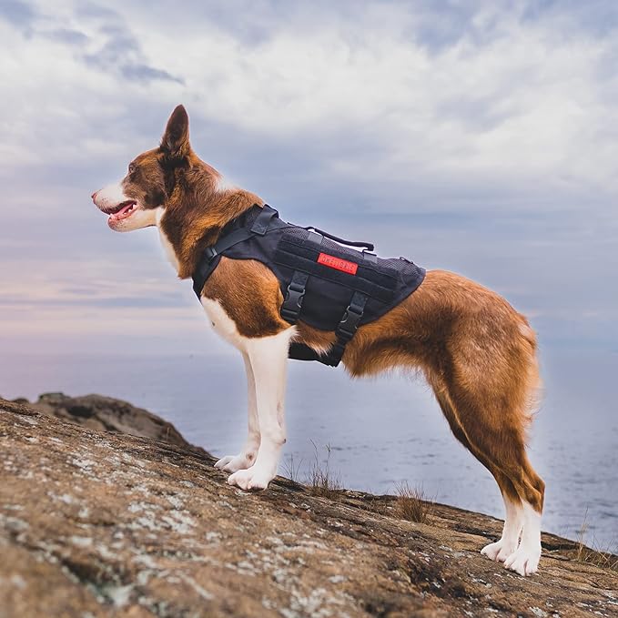 OneTigris No Pull Tactical Dog Harness for Medium Dogs, Mesh Design Breathable Military Dogs Molle Vests with Handles, Service Dog Vest Harness for Walking Hiking Training (L, Black)