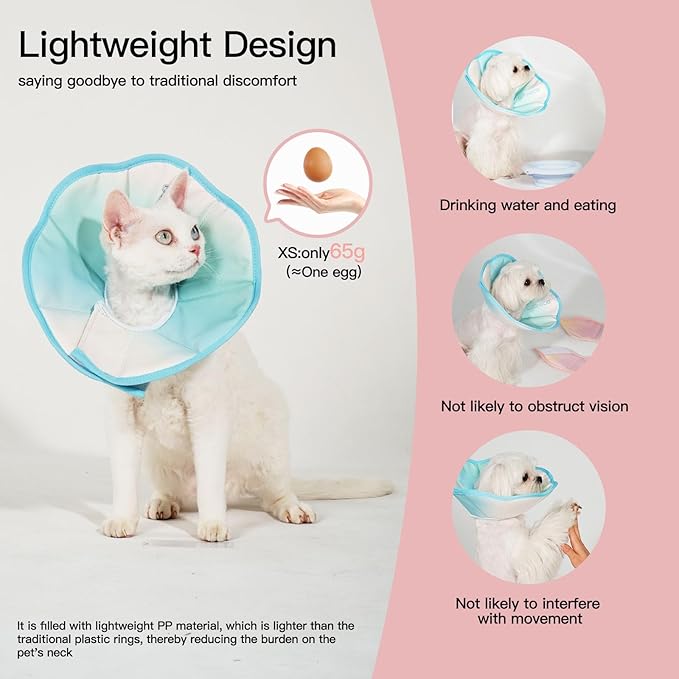 Touchdog Foldable Dog Cone Collar for Cats & Dogs - Adjustable Soft Recovery Collar with Waterproof PU Coating, Lightweight Design, 24.5cm/9.6in Wide Barrier (Blue Gradient Color, L)