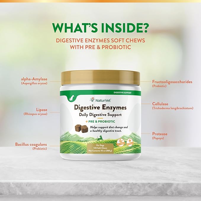 NaturVet – Digestive Enzymes - Plus Probiotics & Prebiotics – Helps Support Diet Change & A Healthy Digestive Tract – for Dogs & Cats (Soft Chews, 120 Count)
