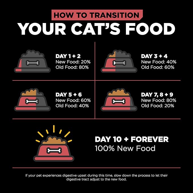 Go! Solutions Sensitivities Limited Ingredient, Grain-Free Dry Cat Food, Salmon Recipe for Sensitive Stomach, 12 lb Bag