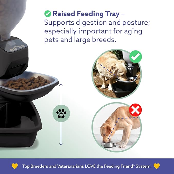 Automatic Dog & Cat Food Feeder with Water Dispenser – Smart Pet Feeder with Portion Control, OLED Display, Anti Jam Design, Battery Operated Dispenser for Small Pets - Black