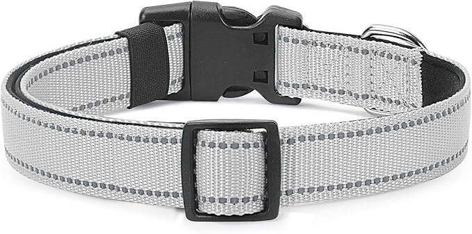 Reflective Dog Collar Padded with Soft Neoprene Breathable Quick Release Basic Dog Collars for Small Dogs Girl Boy Silver