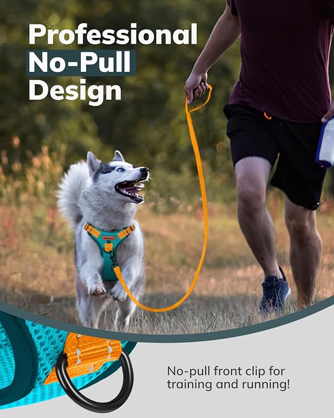 MIDOG No-Pull Dog Harness | Adjustable & Reflective Pet Harness Leash Set for Small Medium Large Dogs Walking, Training| No Choke, Front Clip, Soft Padded Vest with Easy Control Handle - Blue, XS