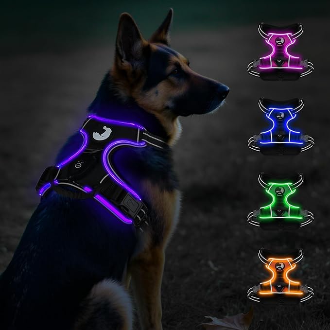 Taglory Light Up Dog Harness, Rechargeable No Pull Dog Vest with 3 Lightning Modes, Reflective Dog Harness with 2 Leash Clips & 4 Adjustable Slide Strips for Large Dogs, Black-Purple, XL