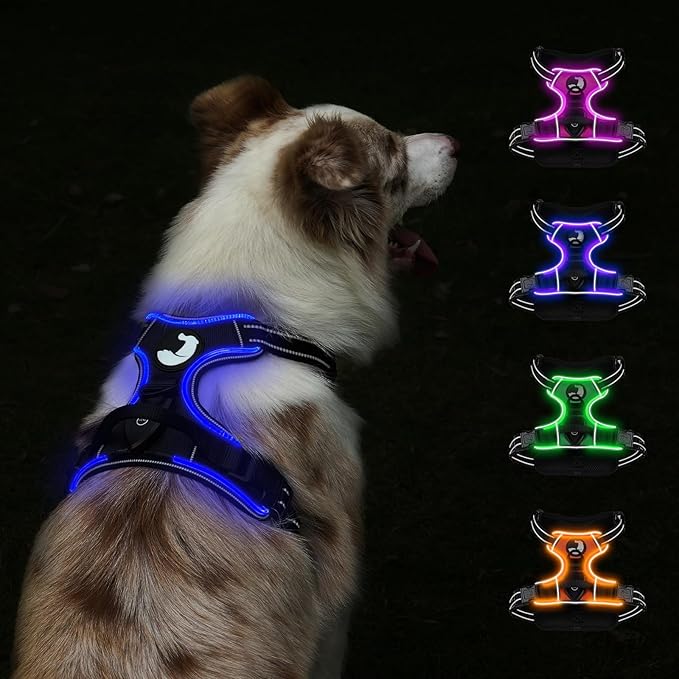 Taglory Light Up Dog Harness, Rechargeable No Pull Dog Vest with 3 Lightning Modes, Reflective Dog Harness with 2 Leash Clips & 4 Adjustable Slide Strips for Medium Dogs, Black-Blue, M