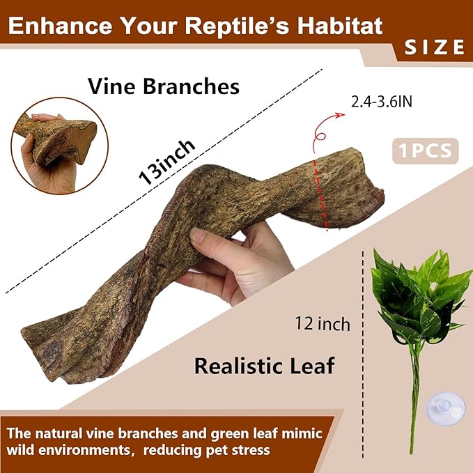 BNOSDM Reptile Climbing Branches Decor,Snake Climbing Branch,Gecko Climb Wood,Lizard Forest Branch,Tank Habitat Tree Trunk Decorations for Bearded Dragons,Chameleons,Spider,Frogs (XL)
