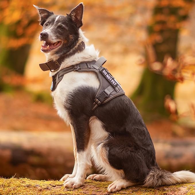 rabbitgoo Dog Harness Small Sized No Pull, Tactical Service Pet Vest with Molle and Control Handle, Adjustable and Reflective Military Harness for Easy Walking and Training, Brown, S