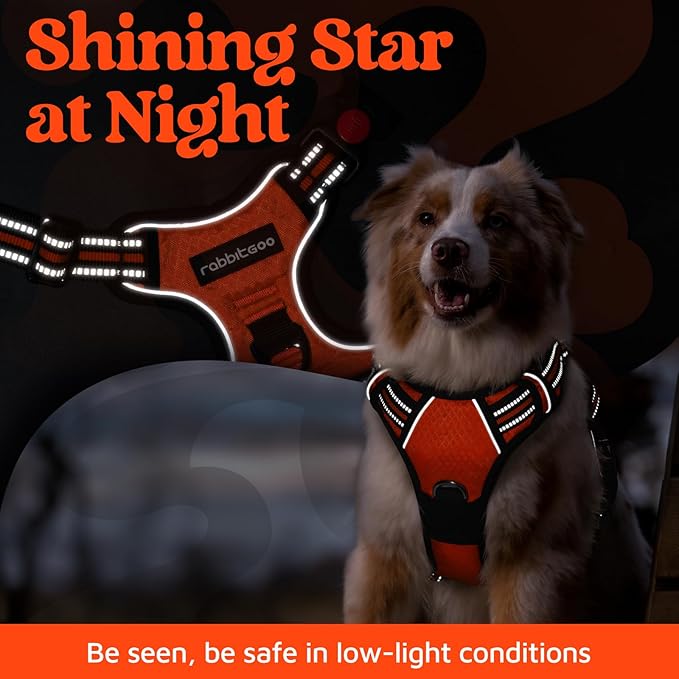 rabbitgoo Dog Harness for Large Dogs, No Pull Pet Vest with 3 Buckles, Adjustable Soft Padded Pet Harness with Easy Control Handle and Reflective Strips, Orange, L