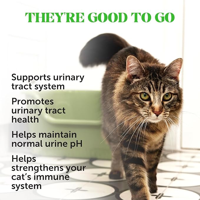 Cat Urinary Tract Health Crunchy & Creamy Chews - Promotes Healthy Digestion & Normal Bladder Function with Cranberry, Antioxidants, & Probiotics - Gut + Bladder Support Supplement (30 Day Supply)