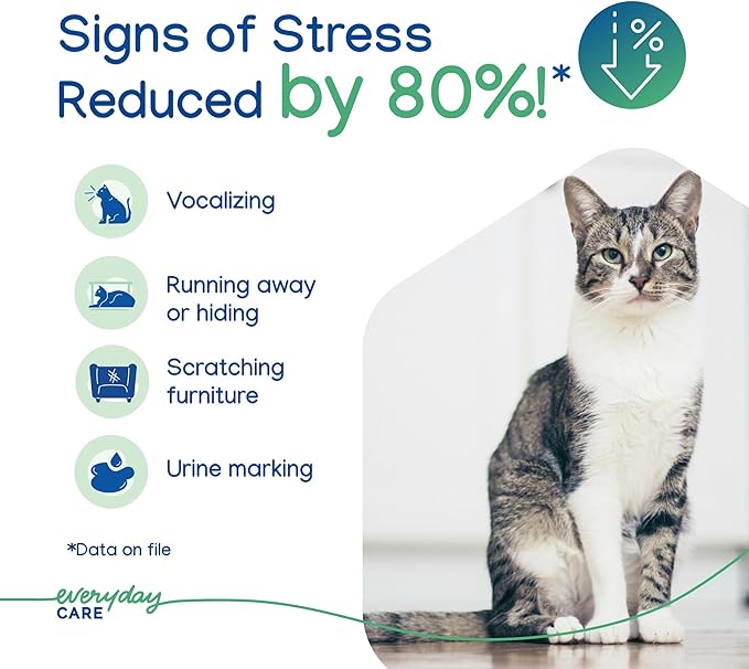 Virbac Zenifel Gel Diffuser for Managing Stress-Related Behaviors in Kittens & Cats - No Electricity Needed - Lasts Up to 2 Months - 1 Diffuser