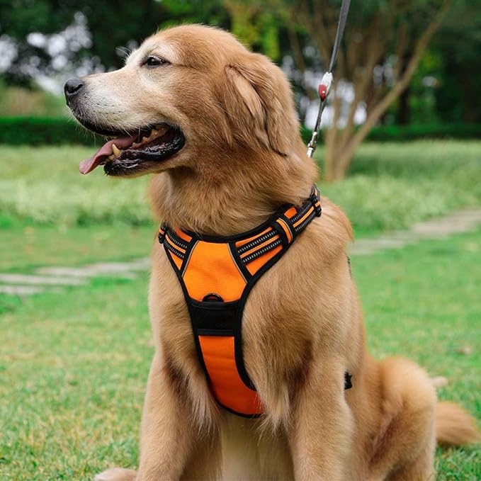 rabbitgoo Dog Harness No Pull with 2 Leash Clips, Adjustable Soft Padded, Reflective Oxford No Choke Pet Vest with Easy Control Handle for Large Dogs,Orange,L