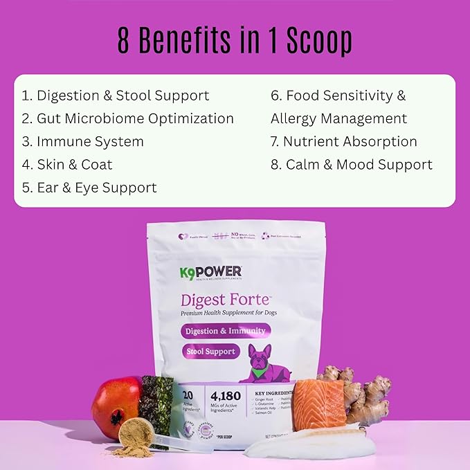 K9 Power Digest Forte for Dogs 1lb – Digestive, Immunity & Calming Support - Enhances Nutrient Absorption - Balances Gut Flora - Eases Discomfort & Boost Mood