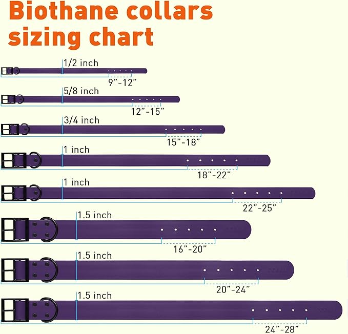 Dogline Biothane Waterproof Dog Collar Strong Coated Nylon Webbing with Black Hardware Odor- Proof for Easy Care Easy to Clean High Performance Fits Small Medium or Large Dogs, Violet Purple