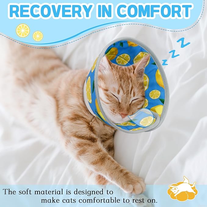 Cat Cone Collar Soft, Comfortable Cat Recovery Collar Pet Cone for Small Large Cats, Lightweight Elizabethan Collar for Cats Kittens After Surgery Prevent from Licking Wounds, Green, S