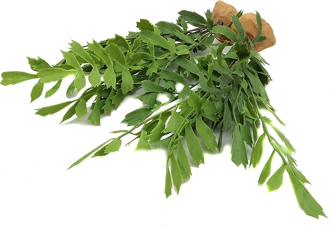 JIHAQUA Lifelike Reptile Tank Plant Decor - Realistic Artificial Plastic Plant for Terrariums and Pet Enclosures (Style D 2 Pack)