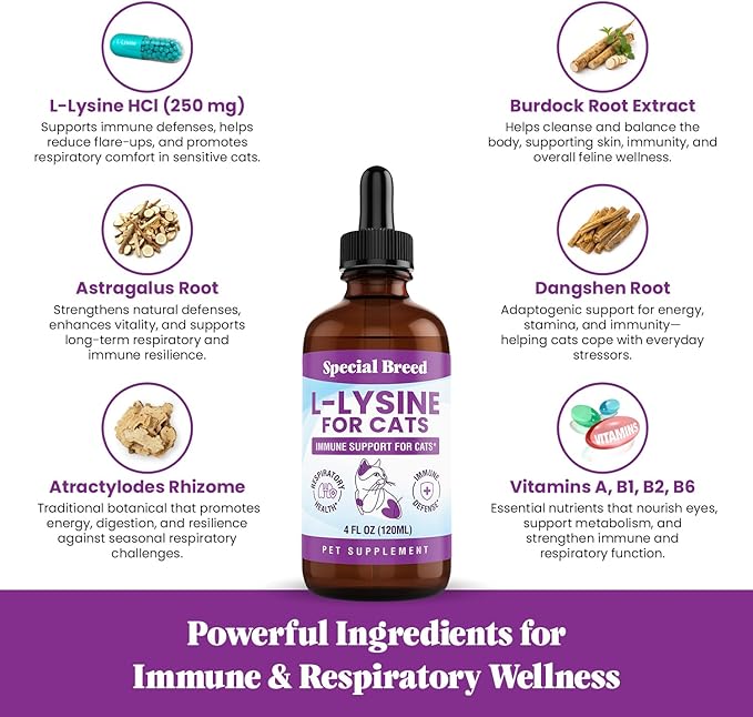 Special Breed L-Lysine for Cats & Kittens – Immune, Respiratory & Eye Health Support – Liquid Cat Supplement with Astragalus, Burdock, Atractylodes, Dangshen & Vitamins A, B1, B2, B6 – 4oz (120mL)