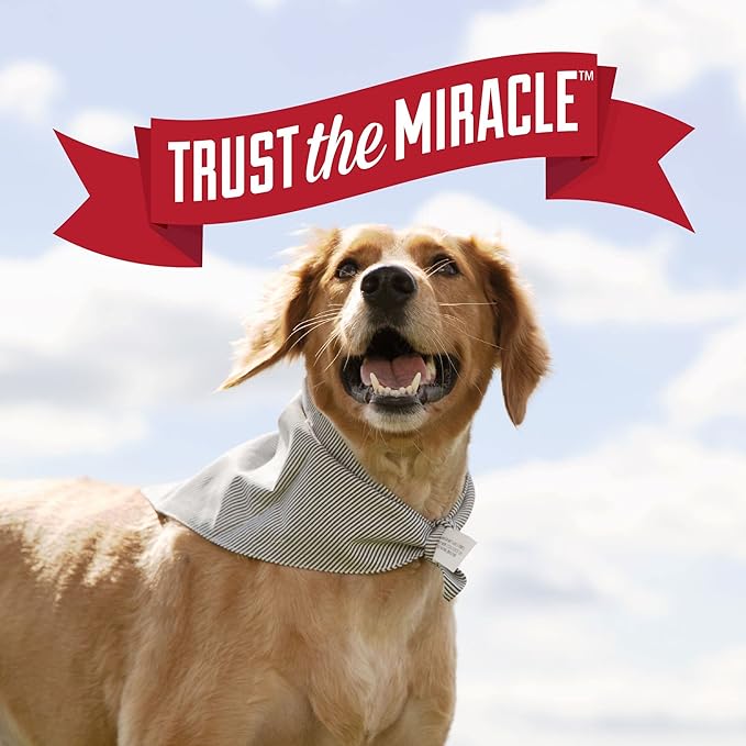 Nature's Miracle Urine Destroyer Plus for Dogs, Enzymatic Formula for Severe Dog Urine Stains, 1 gal