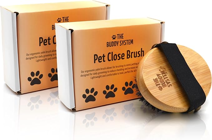 The Buddy System Pet Close Brush, Soft Touch Oval Palm Brush - Bamboo Massage Handheld with Soft Boar Bristles and Elastic Band for Dogs and Cats 2 Pack