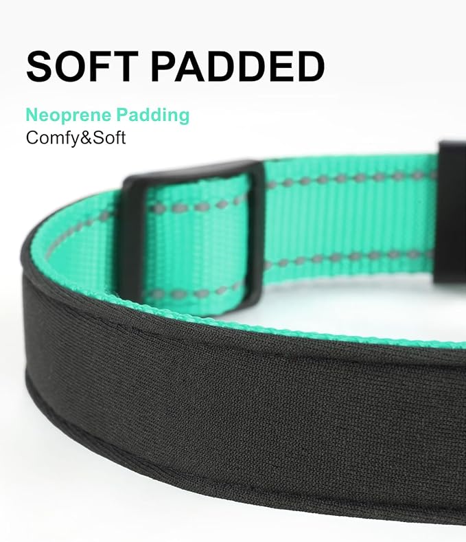 TagME Airtag Dog Collar,Waterproof Reflective Pet Collar with Airtag Holder,Soft Padded and Double D-Rings for Puppy,Turquoise