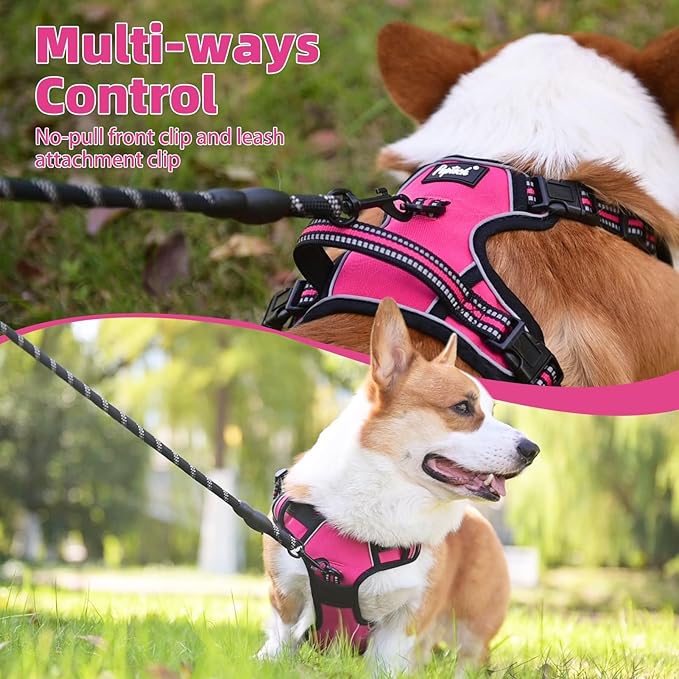 PUPTECK No Pull Dog Harness for Large, Adjustable Reflective Dog Harness with Handle Easy Control, Comfortable Soft Padded Pet Vest Harness for Large Dogs, Fuschia L