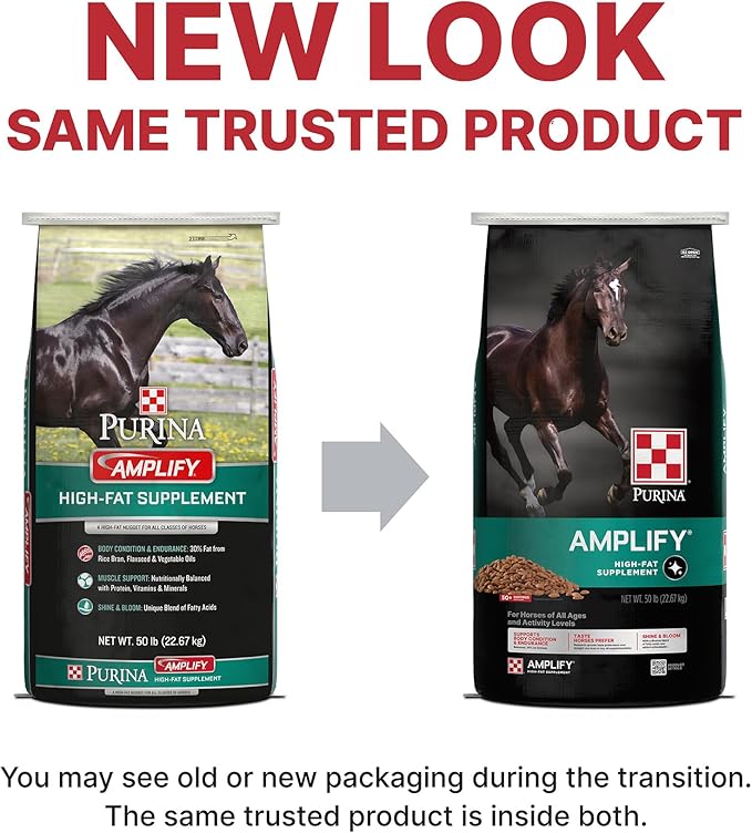 Purina, Amplify Equine, High-Fat Horse Supplement for Maintenance, Breeding, & Performance Horses, 50 lbs