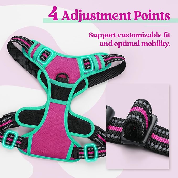 rabbitgoo Dog Harness No Pull with 2 Leash Clips, Adjustable Soft Padded, Reflective Oxford No Choke Pet Vest with Easy Control Handle for Large Dogs, Hot Pink & Turquoise, XL