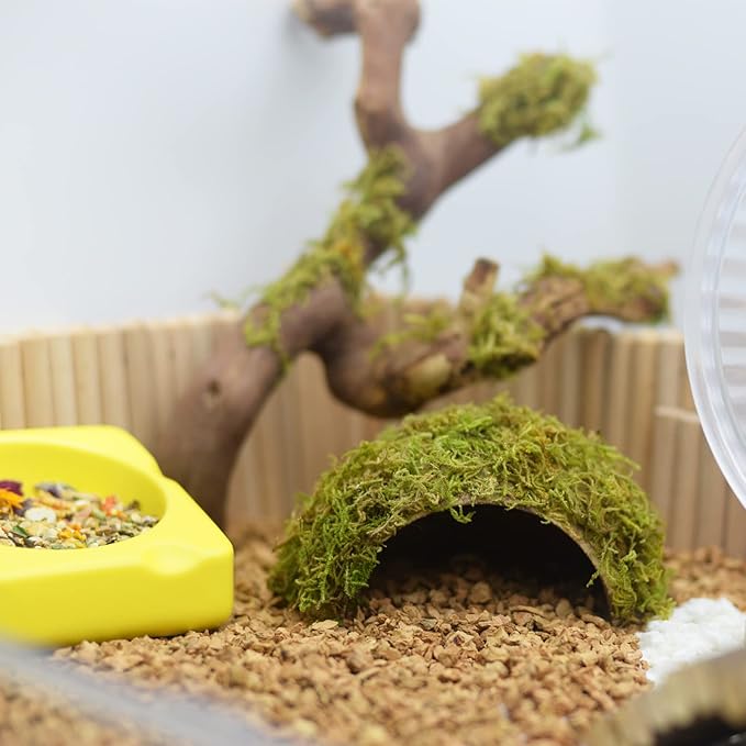 Hamster Hideaway/Hideout,Mossy Cave Hide,Hamster House/Hides,Hamster Cage Accessories for Gguinea Pig/Hedgehogs/Gliders/Rats/Mice and Other Small Animals(Set)