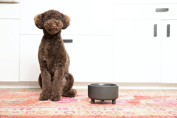 Waggo Uplift Ceramic Dog Bowl for Small Medium and Large Breeds - Heavyweight and Durable Pet Food and Water Dish Crock, Dishwasher Safe, Modern, Elevated Feeder (Black, Medium)