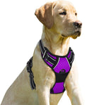 BARKBAY No Pull Dog Harness Front Clip Heavy Duty Reflective Easy Control Handle for Large Dog Walking(Purple,XL)