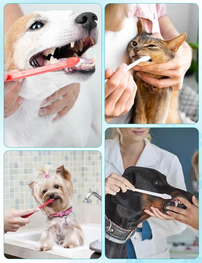 30 Pcs Pet Toothbrush Kit - Dual-Headed Toothbrush for Dogs & Cats - 10 Colors