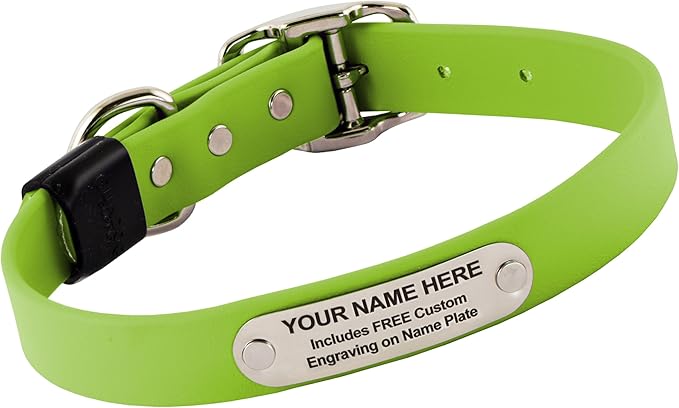 Biothane Custom Dog Collar – Waterproof, Stink-Proof Personalized Collar with Name & Phone Number – Durable, Many Sizes and Colors – Assembled in USA (Green Apple)