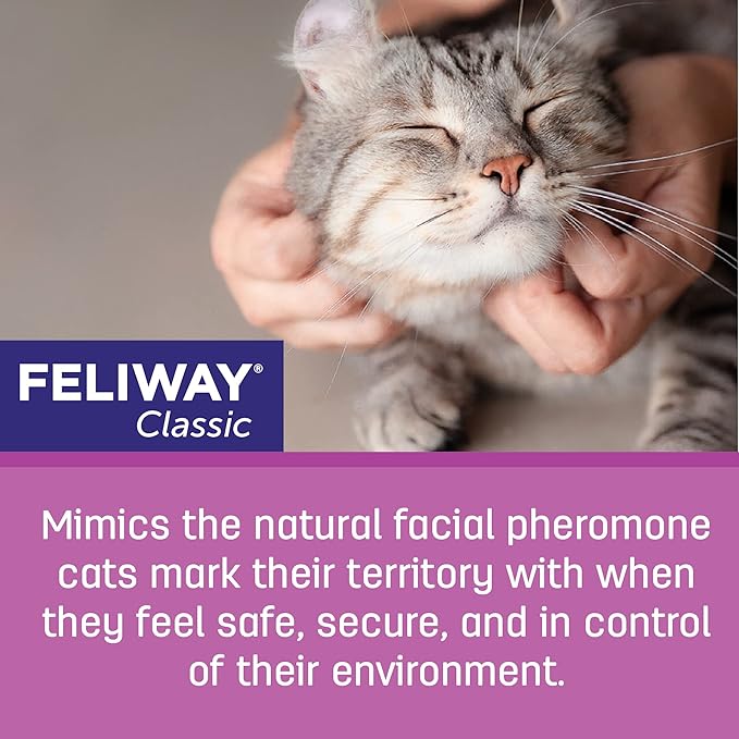 FELIWAY® Classic 30 Day Cat Calming Refill for Pheromone Diffuser, 48ml - Helps Reduce Common Signs of Stress in Cats & Kittens, Enhanced Calming