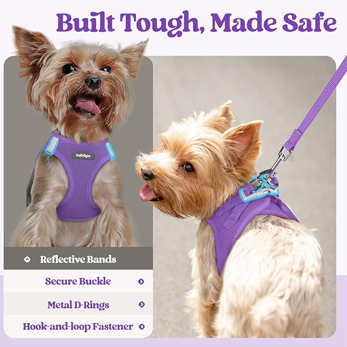 rabbitgoo Dog Harness Small Sized and Leash Set, Step in Soft Light Puppy Vest, Breathable Mesh Pet Harness, Reflective for Safe Outdoor Walking, Purple M