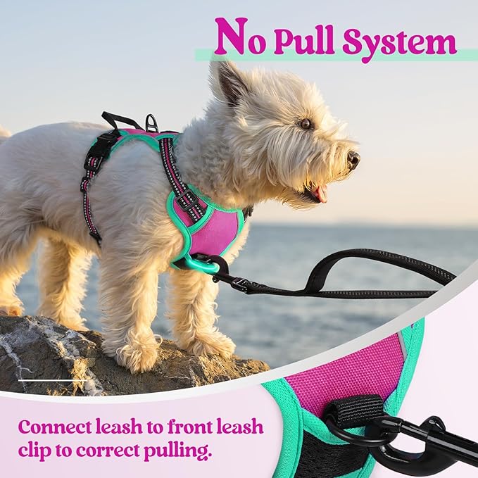 rabbitgoo Dog Harness No Pull with 2 Leash Clips, Adjustable Soft Padded, Reflective Oxford No Choke Pet Vest with Easy Control Handle for Large Dogs, Hot Pink & Turquoise, XS